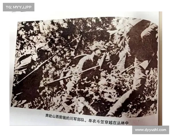 “抗日锄奸队”再引关注：历史回顾与其在抗战中的独特作用(锄山抗日)
